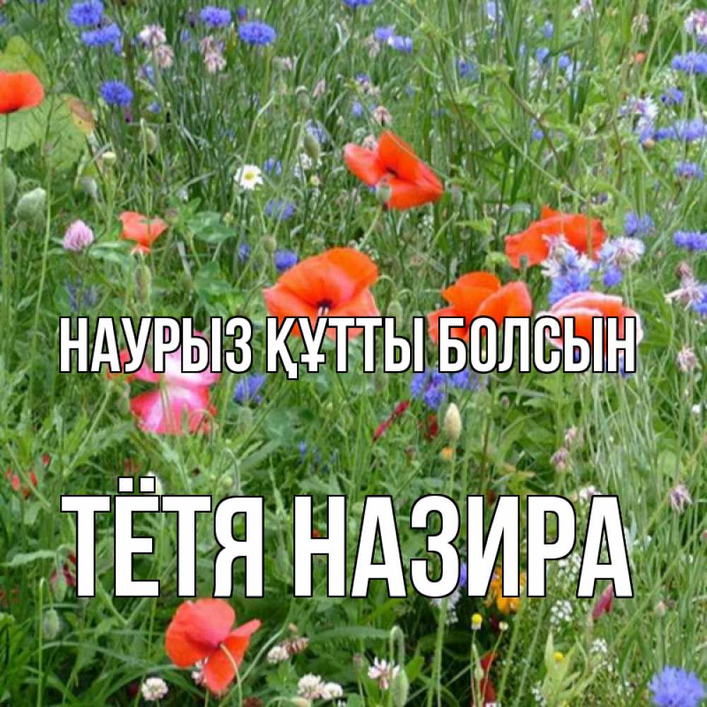 Открытка на каждый день с именем, Тётя-Назира Наурыз құтты болсын наурыз  4 Прикольная открытка с пожеланием онлайн скачать бесплатно 