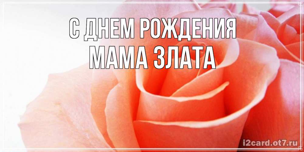 Открытка на каждый день с именем, Мама-Злата С днем рождения розы для поздравления с днем рождения Прикольная открытка с пожеланием онлайн скачать бесплатно 