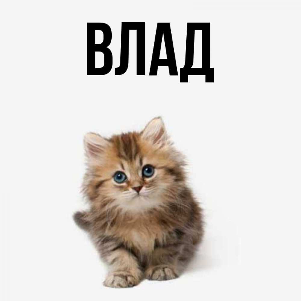 Картинка  с именем , Влад