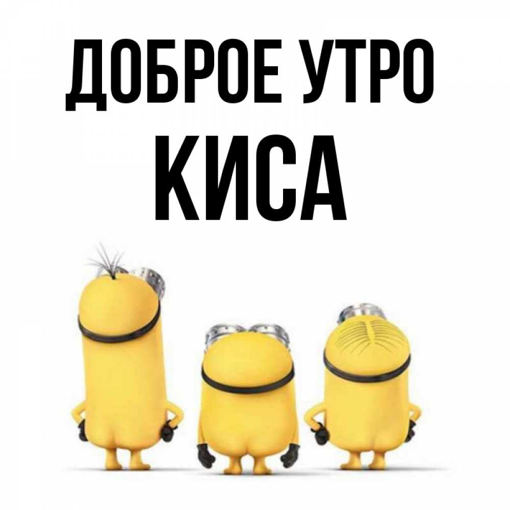 Доброе утро хорошего настроения прикольные. Доброе утро кис. Доброе утро кис. Доброе утро кис. С добрым утром кис.
