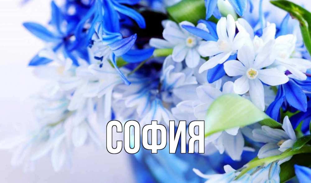 Открытка на каждый день с именем, София Главная С 1 мая Прикольная открытка с пожеланием онлайн скачать бесплатно 