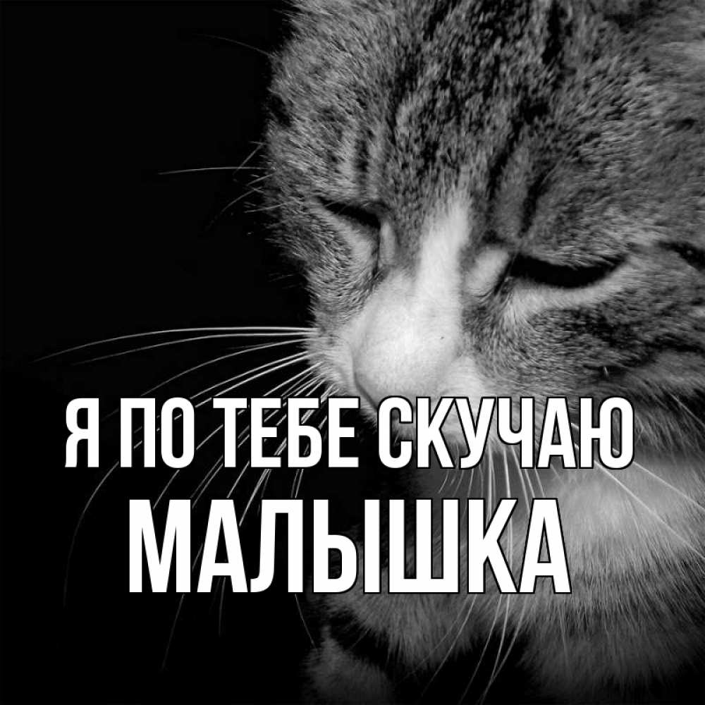 картинки малышка я по тебе скучаю собственной