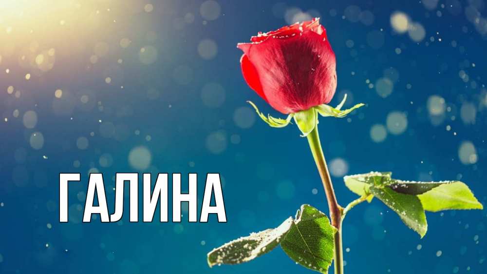 Открытка на каждый день с именем, Галина Главная с днем знаний Прикольная открытка с пожеланием онлайн скачать бесплатно 