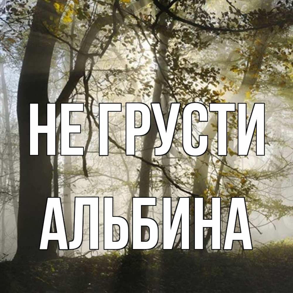 Открытка на каждый день с именем, Альбина Не грусти лес и свет Прикольная открытка с пожеланием онлайн скачать бесплатно 