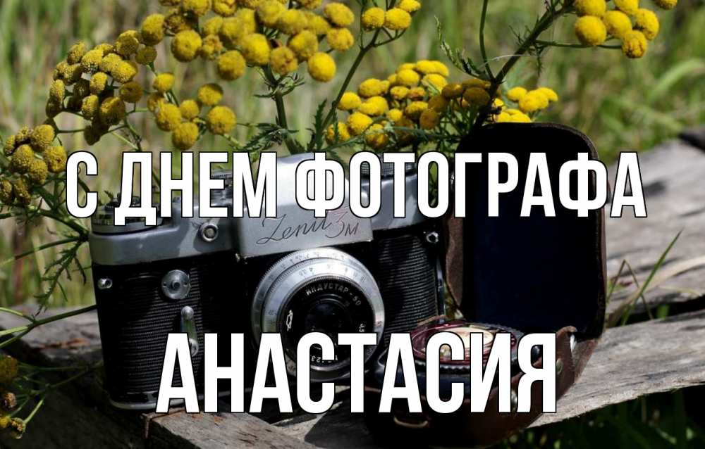 Открытка на каждый день с именем, Анастасия С днем фотографа с днем фотографа Прикольная открытка с пожеланием онлайн скачать бесплатно 