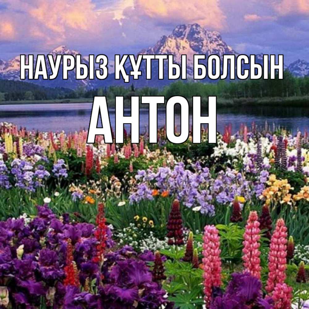 Открытка на каждый день с именем, Антон Наурыз құтты болсын наурыз Прикольная открытка с пожеланием онлайн скачать бесплатно 
