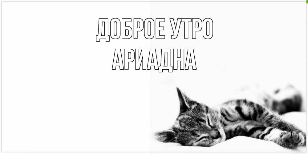 Открытка на каждый день с именем, Ариадна Доброе утро котуся Прикольная открытка с пожеланием онлайн скачать бесплатно 