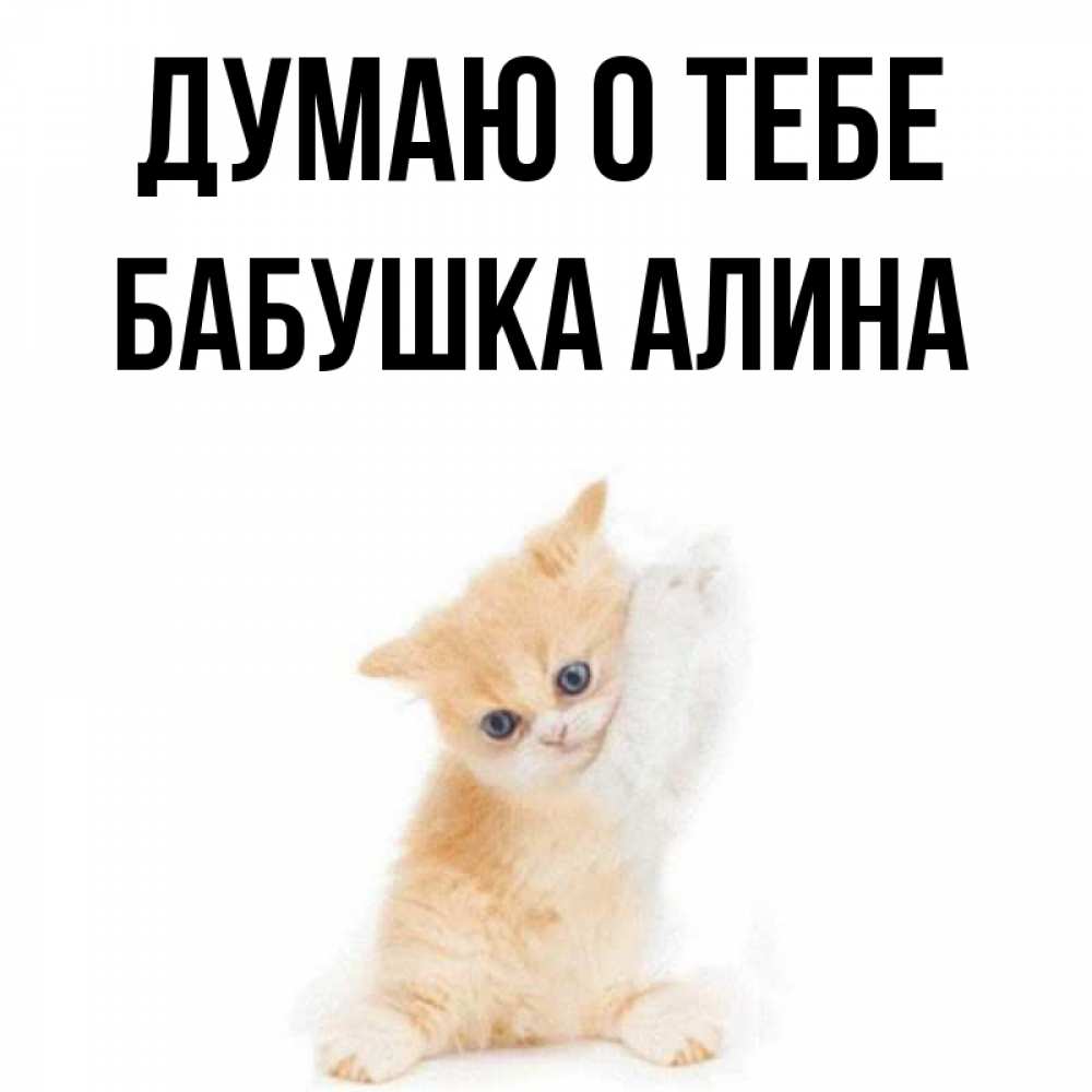 Открытка на каждый день с именем, Бабушка-Алина Думаю о тебе зверушки и милота Прикольная открытка с пожеланием онлайн скачать бесплатно 