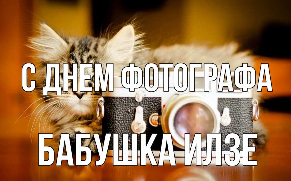 Открытка на каждый день с именем, Бабушка-Илзе С днем фотографа с днем фотографа Прикольная открытка с пожеланием онлайн скачать бесплатно 