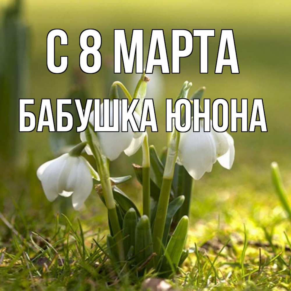 Открытка на каждый день с именем, Бабушка-Юнона С 8 МАРТА ранние цветы 2 Прикольная открытка с пожеланием онлайн скачать бесплатно 