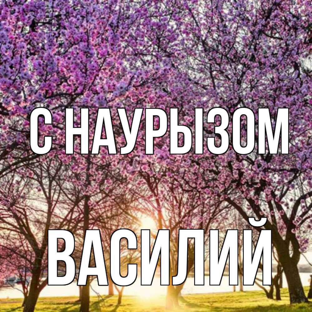 Открытка на каждый день с именем, Василий С наурызом праздник весны наурыз Прикольная открытка с пожеланием онлайн скачать бесплатно 