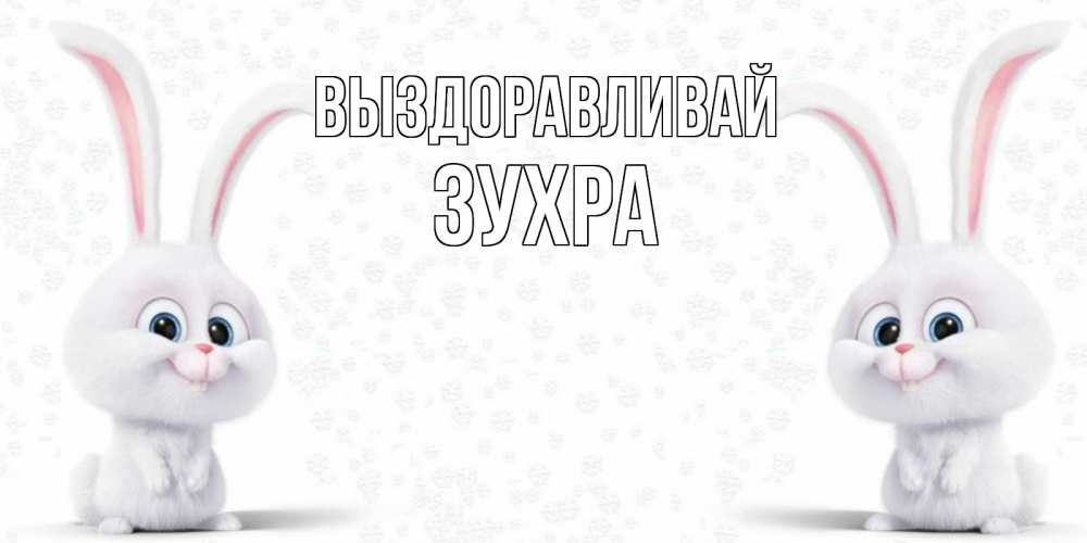 Открытка на каждый день с именем, Зухра Выздоравливай не болей с зайцем Прикольная открытка с пожеланием онлайн скачать бесплатно 
