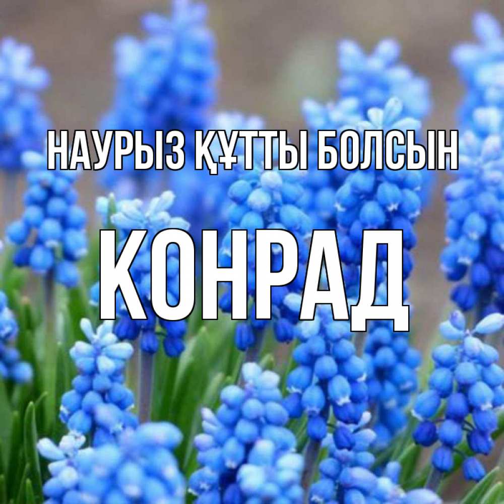 Открытка на каждый день с именем, Конрад Наурыз құтты болсын Поздравительная открытка для женщин с цветами на праздничную дату Прикольная открытка с пожеланием онлайн скачать бесплатно 