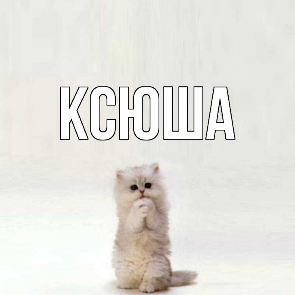 Открытка на каждый день с именем, Ксюша Главная кот стоит на задних лапах Прикольная открытка с пожеланием онлайн скачать бесплатно 