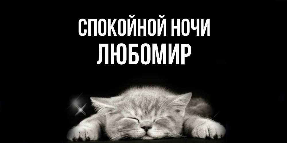 Открытка на каждый день с именем, Любомир Спокойной ночи спящий котик Прикольная открытка с пожеланием онлайн скачать бесплатно 