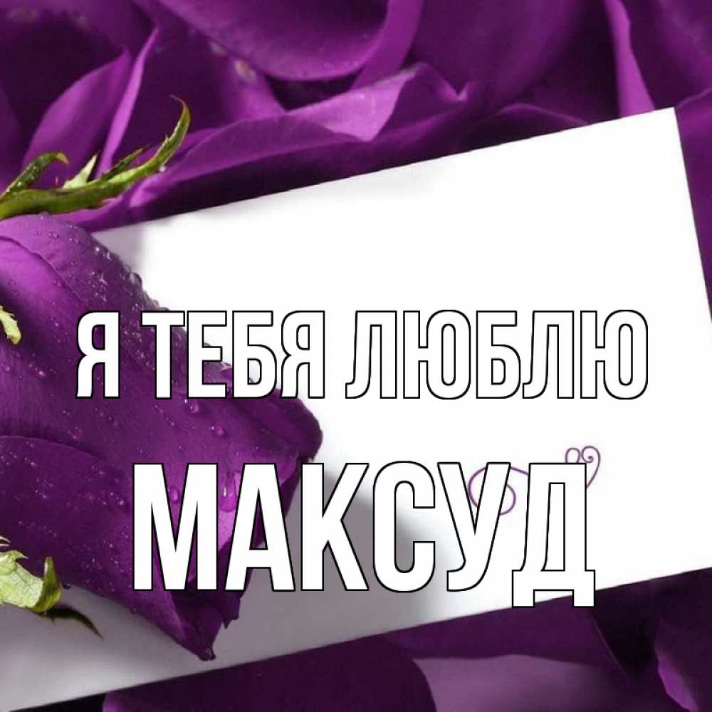 Открытка на каждый день с именем, Максуд Я тебя люблю роза Прикольная открытка с пожеланием онлайн скачать бесплатно 