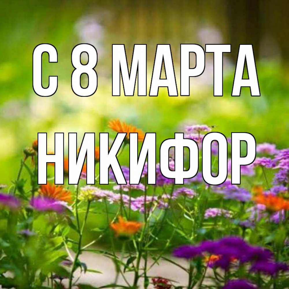 Открытка на каждый день с именем, Никифор С 8 МАРТА цветы Прикольная открытка с пожеланием онлайн скачать бесплатно 