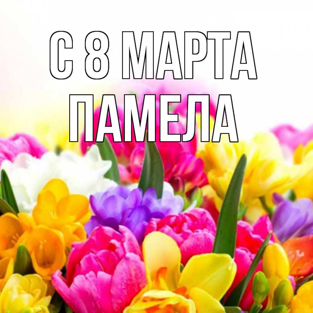 Открытка на каждый день с именем, Памела С 8 марта тюльпаны Прикольная открытка с пожеланием онлайн скачать бесплатно 
