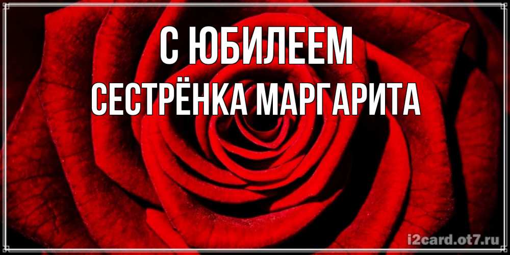 Открытка на каждый день с именем, Сестрёнка-Маргарита С юбилеем алая роза Прикольная открытка с пожеланием онлайн скачать бесплатно 