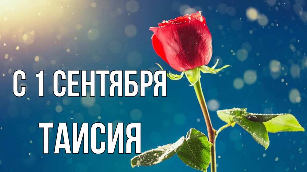 Открытка на каждый день с именем, Таисия С 1 сентября с днем знаний Прикольная открытка с пожеланием онлайн скачать бесплатно 