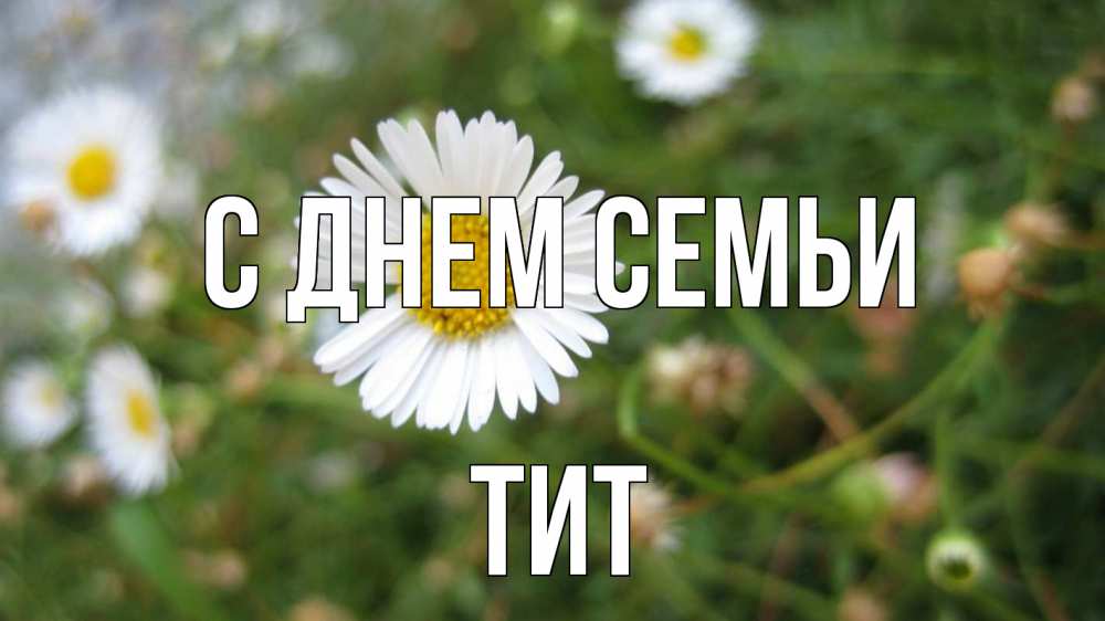 Открытка на каждый день с именем, Тит С днем семьи с днем семьи Прикольная открытка с пожеланием онлайн скачать бесплатно 