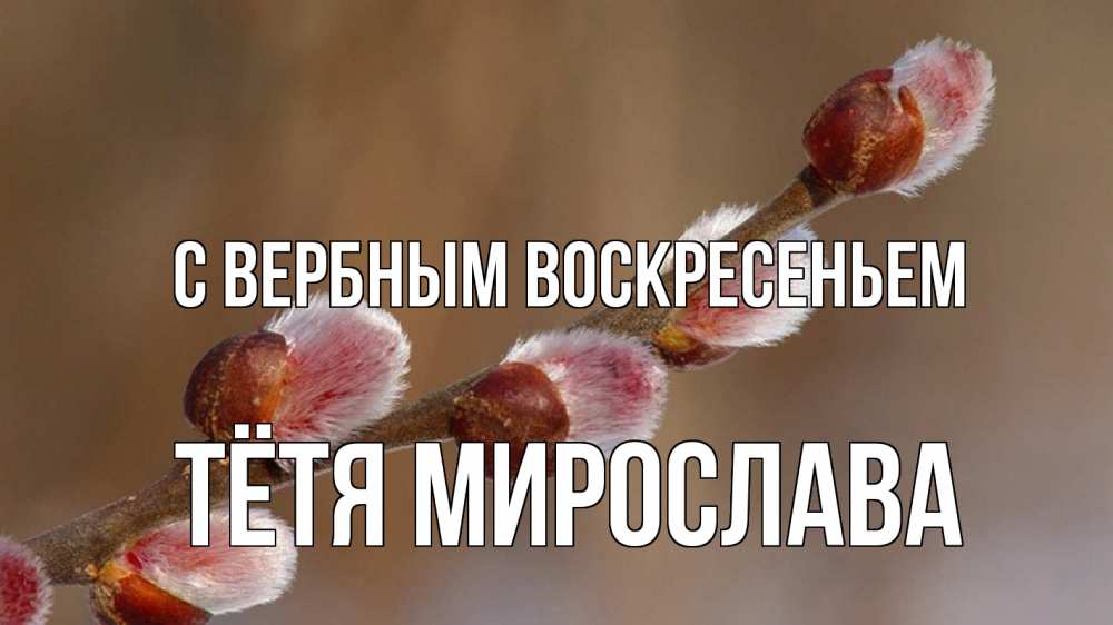 Открытка на каждый день с именем, Тётя-Мирослава С вербным воскресеньем верба Прикольная открытка с пожеланием онлайн скачать бесплатно 