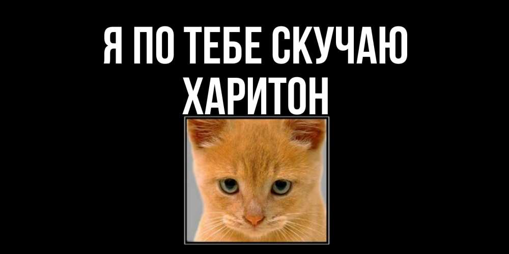 Открытка на каждый день с именем, Харитон Я по тебе скучаю открытки рыжий котенок скучает по тебе Прикольная открытка с пожеланием онлайн скачать бесплатно 