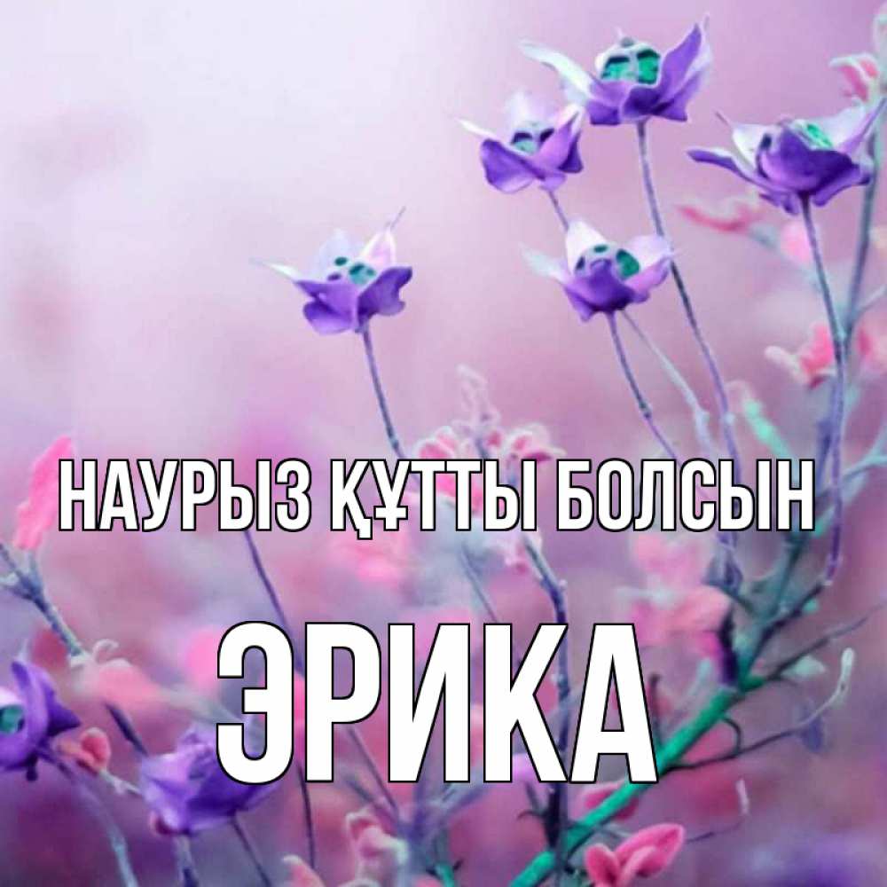 Открытка на каждый день с именем, Эрика Наурыз құтты болсын наурыз  2 Прикольная открытка с пожеланием онлайн скачать бесплатно 
