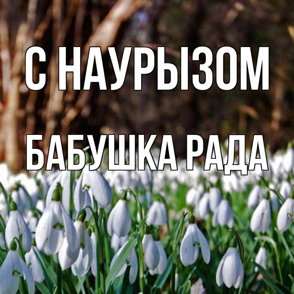 Открытка на каждый день с именем, Бабушка-Рада С наурызом с подснежниками 1 Прикольная открытка с пожеланием онлайн скачать бесплатно 