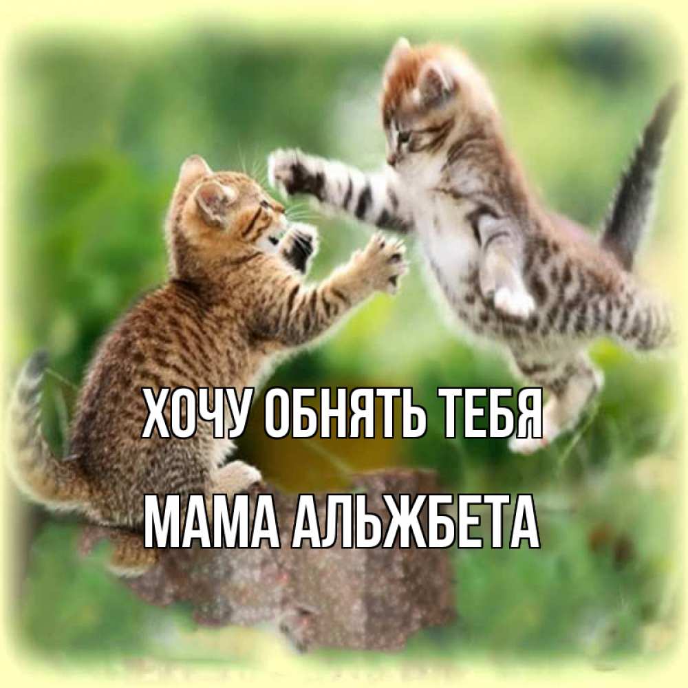 Открытка на каждый день с именем, Мама-Альжбета Хочу обнять тебя игры котят Прикольная открытка с пожеланием онлайн скачать бесплатно 