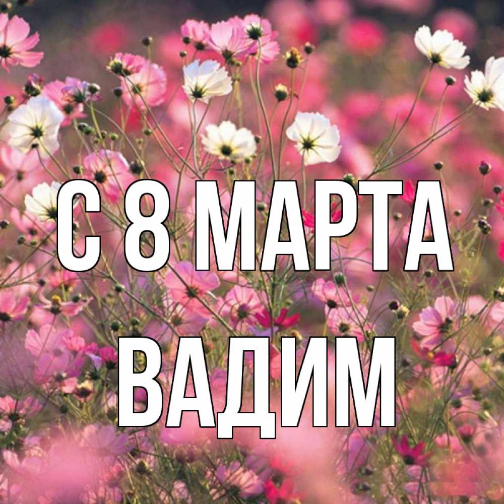 Открытка на каждый день с именем, Вадим С 8 МАРТА красиво 1 Прикольная открытка с пожеланием онлайн скачать бесплатно 