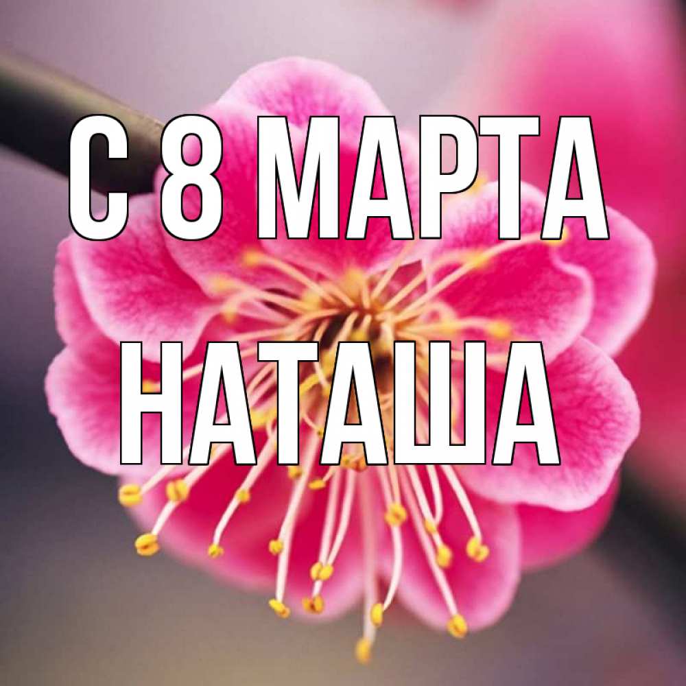 Картинка С 8 МАРТА, наташа