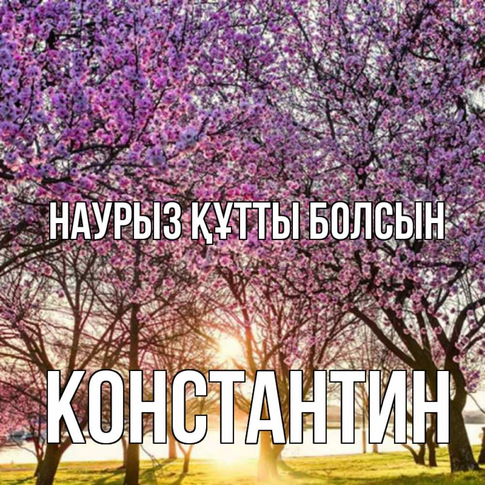 Открытка на каждый день с именем, Константин Наурыз құтты болсын наурыз Прикольная открытка с пожеланием онлайн скачать бесплатно 