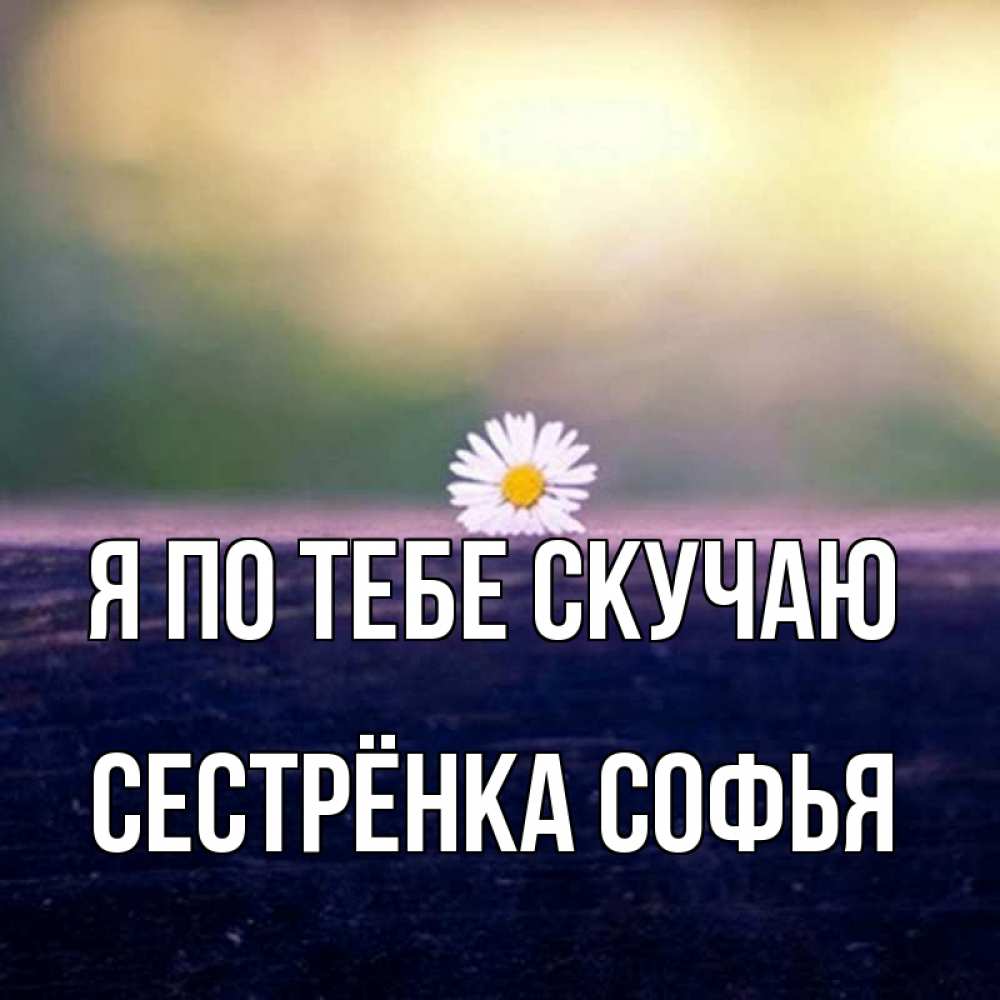 Открытка на каждый день с именем, Сестрёнка-Софья Я по тебе скучаю приходи в гости Прикольная открытка с пожеланием онлайн скачать бесплатно 