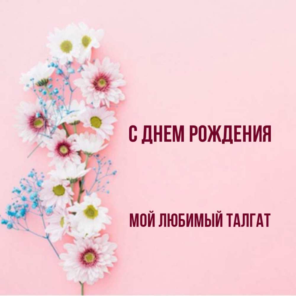 С днем рождения талгат картинки