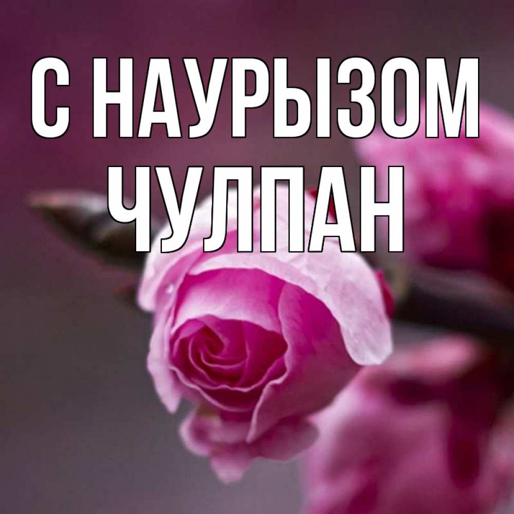 Открытка на каждый день с именем, Чулпан С наурызом весна Прикольная открытка с пожеланием онлайн скачать бесплатно 