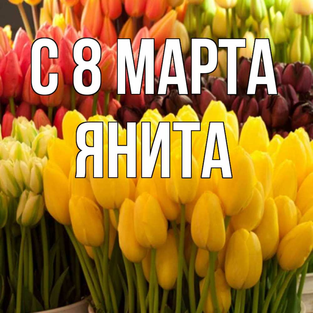 Открытка на каждый день с именем, Янита С 8 марта цветы Прикольная открытка с пожеланием онлайн скачать бесплатно 