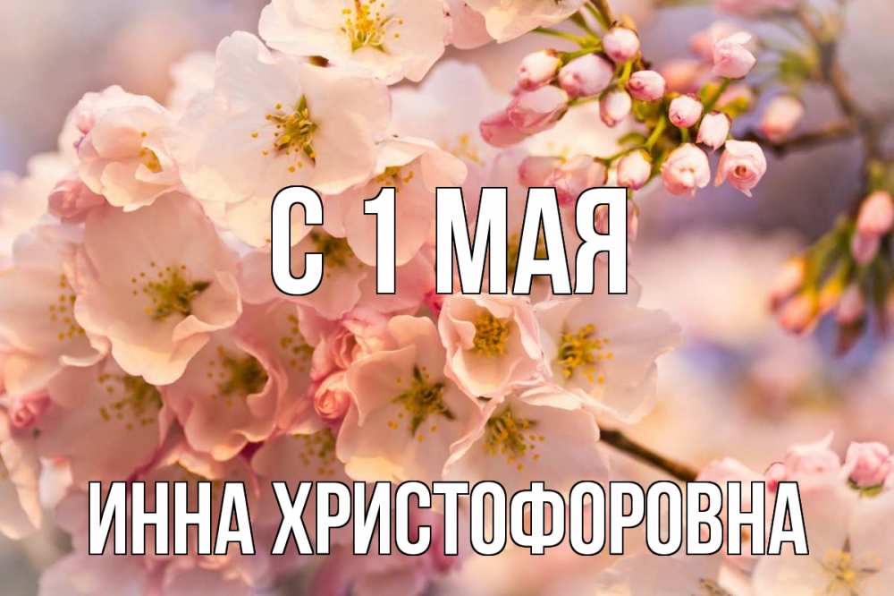 1 Мая цветы. Картинка 24 мая с цветами. 1 мая инн