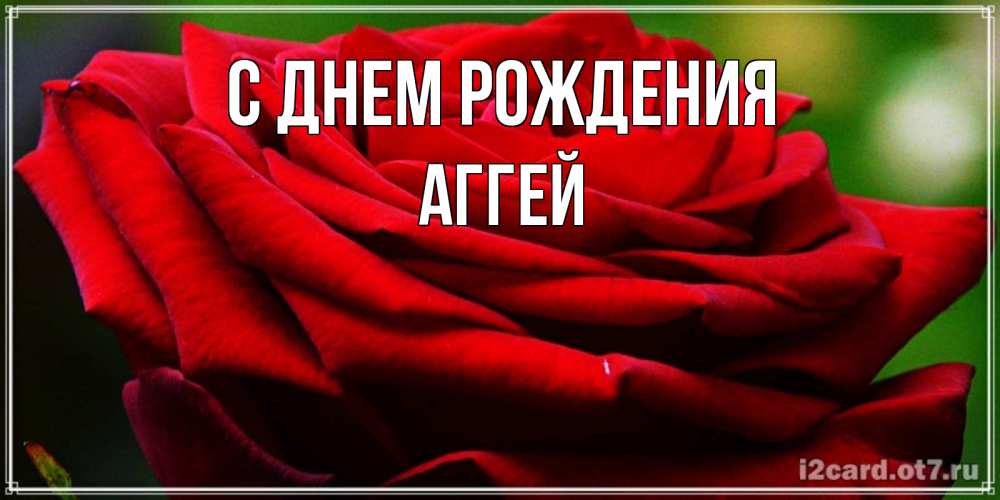 Открытка на каждый день с именем, Аггей С днем рождения розочка очень красивая Прикольная открытка с пожеланием онлайн скачать бесплатно 