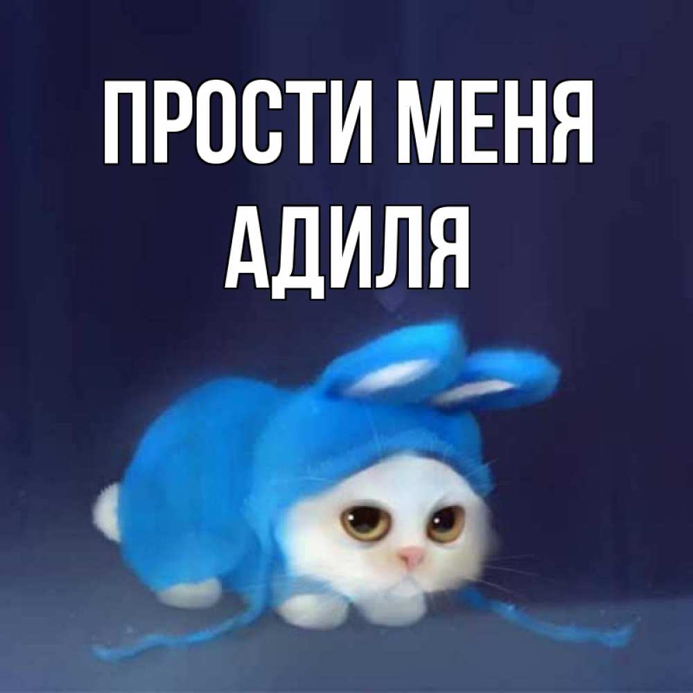 Открытка на каждый день с именем, Адиля Прости меня невинный котозай просит прощения Прикольная открытка с пожеланием онлайн скачать бесплатно 