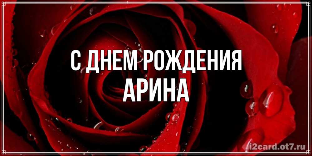 Открытка на каждый день с именем, Арина С днем рождения крупная бордовая роза Прикольная открытка с пожеланием онлайн скачать бесплатно 