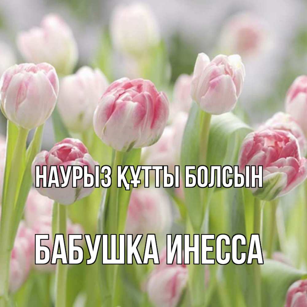 Открытка на каждый день с именем, Бабушка-Инесса Наурыз құтты болсын цветы Прикольная открытка с пожеланием онлайн скачать бесплатно 