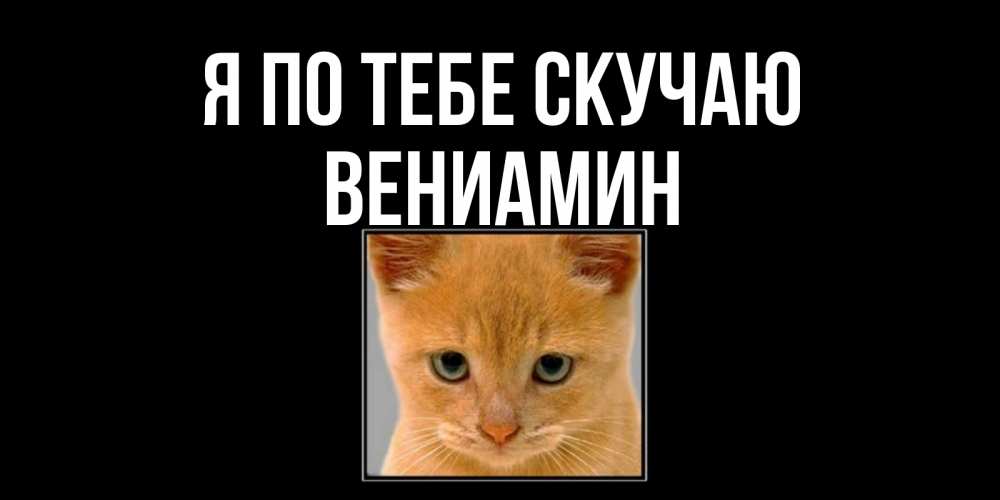 Открытка на каждый день с именем, Вениамин Я по тебе скучаю открытки рыжий котенок скучает по тебе Прикольная открытка с пожеланием онлайн скачать бесплатно 