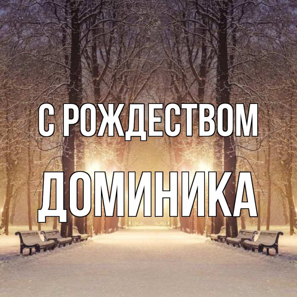 Открытка на каждый день с именем, Доминика С рождеством зима, парк, фонарь, лес Прикольная открытка с пожеланием онлайн скачать бесплатно 