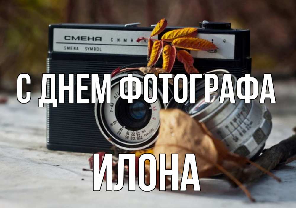 Открытка на каждый день с именем, Илона С днем фотографа с днем фотографа Прикольная открытка с пожеланием онлайн скачать бесплатно 