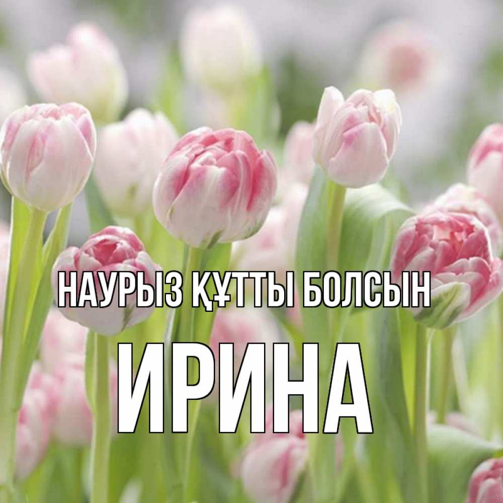 Открытка на каждый день с именем, Ирина Наурыз құтты болсын цветы Прикольная открытка с пожеланием онлайн скачать бесплатно 