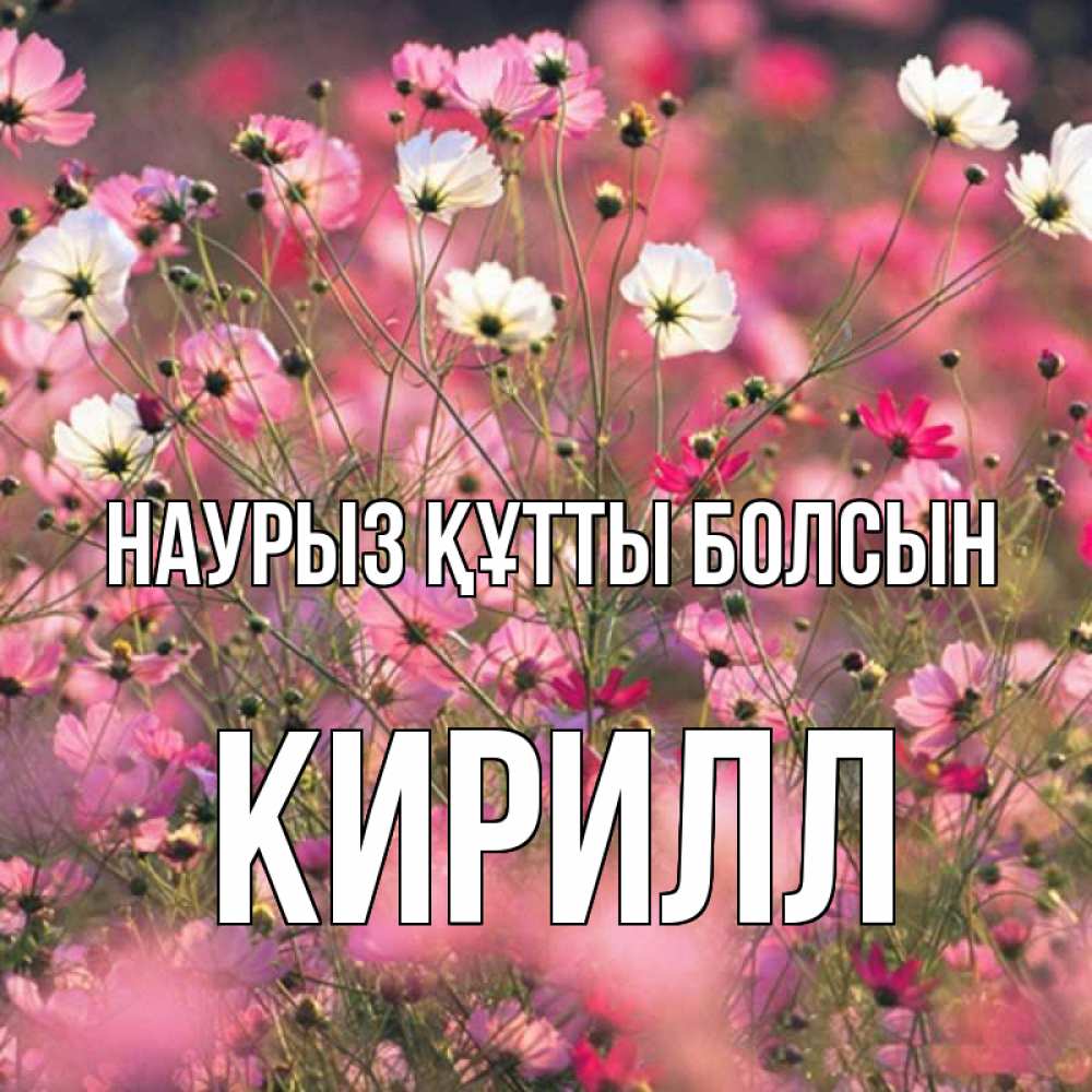 Открытка на каждый день с именем, Кирилл Наурыз құтты болсын красиво 1 Прикольная открытка с пожеланием онлайн скачать бесплатно 
