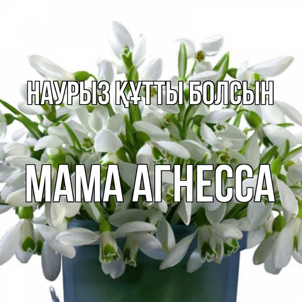 Открытка на каждый день с именем, Мама-Агнесса Наурыз құтты болсын цветы к наурызу Прикольная открытка с пожеланием онлайн скачать бесплатно 