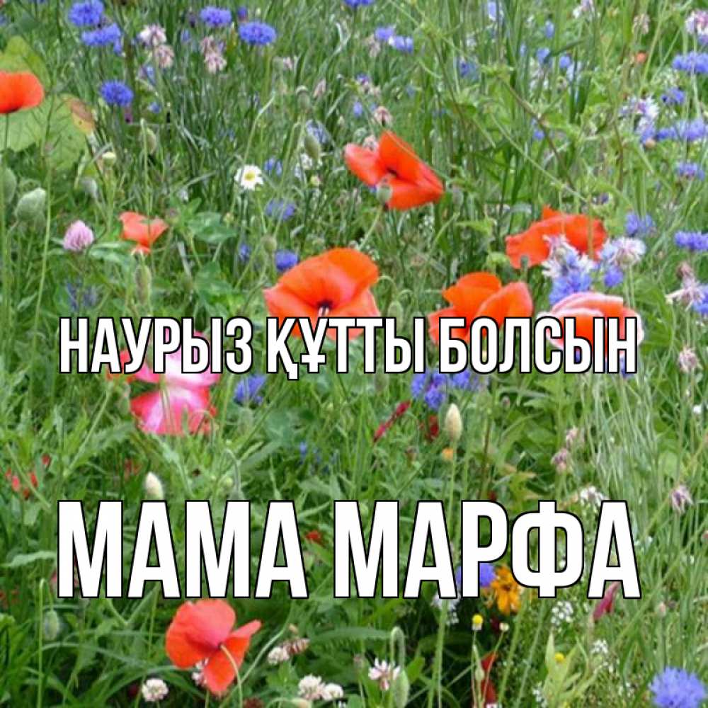 Открытка на каждый день с именем, Мама-Марфа Наурыз құтты болсын наурыз  4 Прикольная открытка с пожеланием онлайн скачать бесплатно 