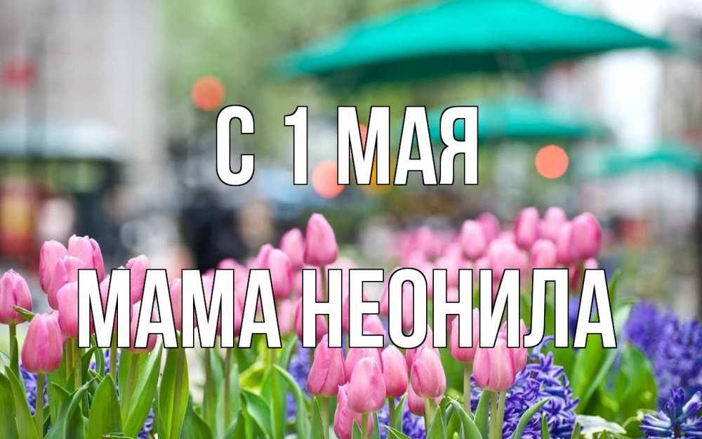 Открытка на каждый день с именем, Мама-Неонила С 1 мая С 1 мая Прикольная открытка с пожеланием онлайн скачать бесплатно 